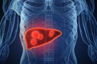 肝功能、肝炎检测