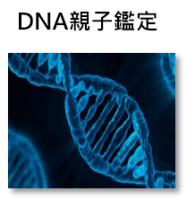 DNA親子鑑定